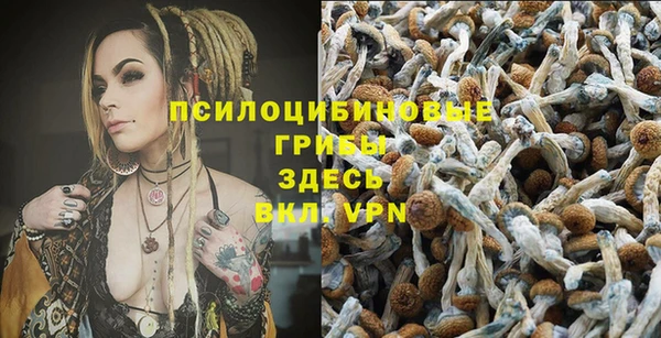 винт Киренск