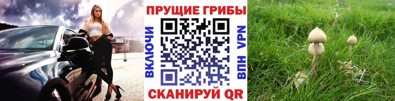 Галлюциногенные грибы мицелий  Купить где  Котельники 